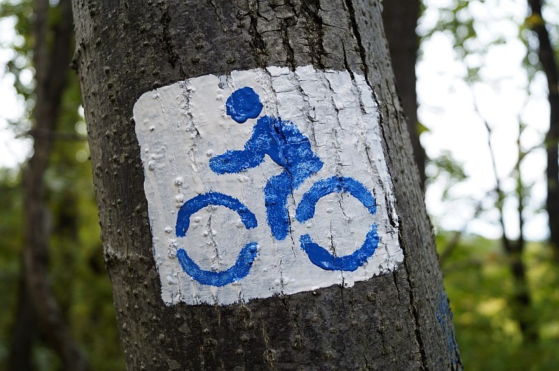 Baum mit dem Piktogramm eines Radfahrers als Wegmarkierung