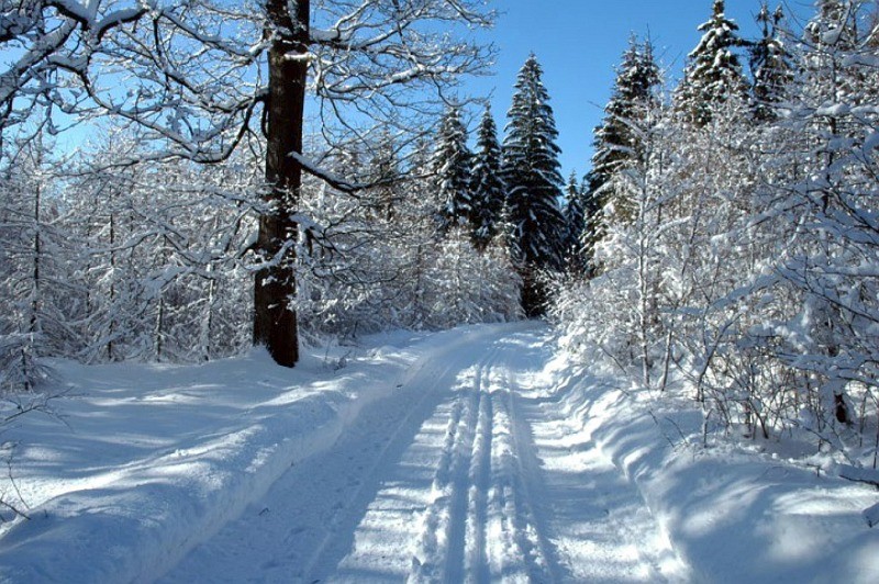 Breiter verschneiter Waldweg