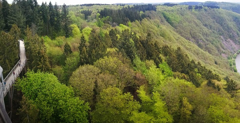 Blick auf die weitläufige Waldlandschaft des Saarlandes