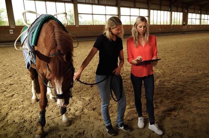 Das Bild zeigt zwei nebeneinanderstehende Frauen. Die eine Frau erklärt die Funktion der EQUITEDOApp auf dem Tablet. Links neben der Frau steht ein Pferd, es wird an einer Leine gehalten. Sie stehen in einer Reithalle.