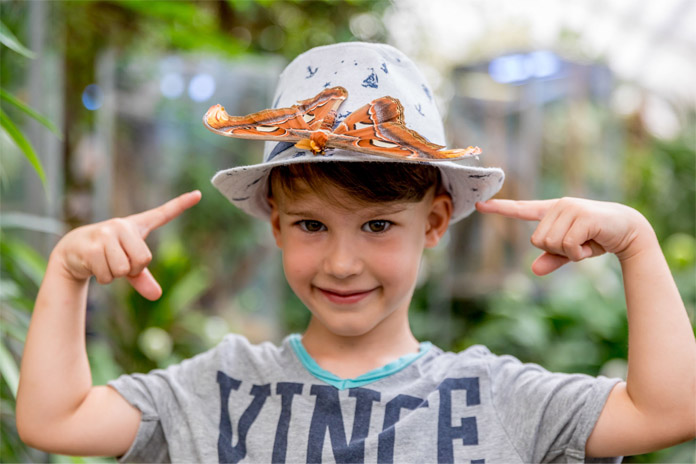 Ein kleiner Junge. Auf dem Kopf trägt er einen Hut. Auf der Kante sitzt ein großer orange braun farbener Schmetterling. Er zeigt mit seinen Zeigefingern auf diesen
