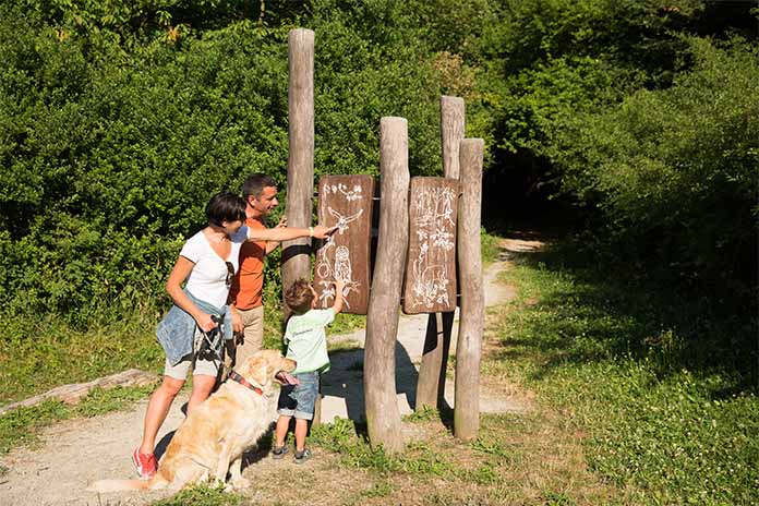 Eine Familie bestehend aus Vater, Mutter, kleiner Junge und Hund auf einem Pfad. An einer Hinweisstation aus Holz schauen sie sich Schilder an. Der Pfad ist von Bäumen umgeben.