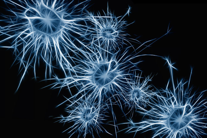 Eine Darstellung von Neuronen im menschlichen Körper. Der Hintergrund ist schwarz.