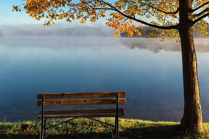 Ein See mit leichtem Morgentau darüber. Am Ufer steht eine einfache Holzbank, daneben ein Baum.